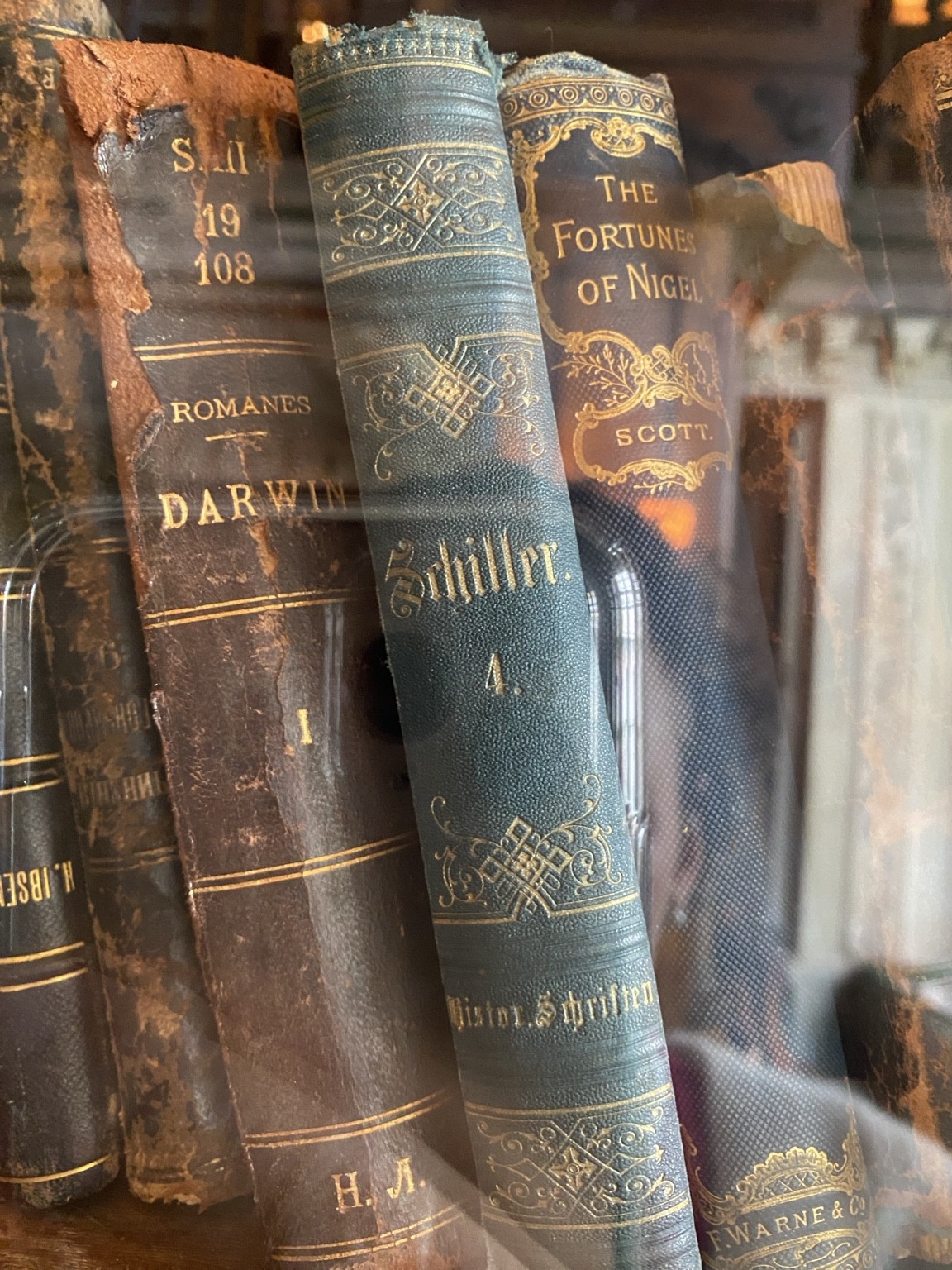Alte Bücher in Nahaufnahme