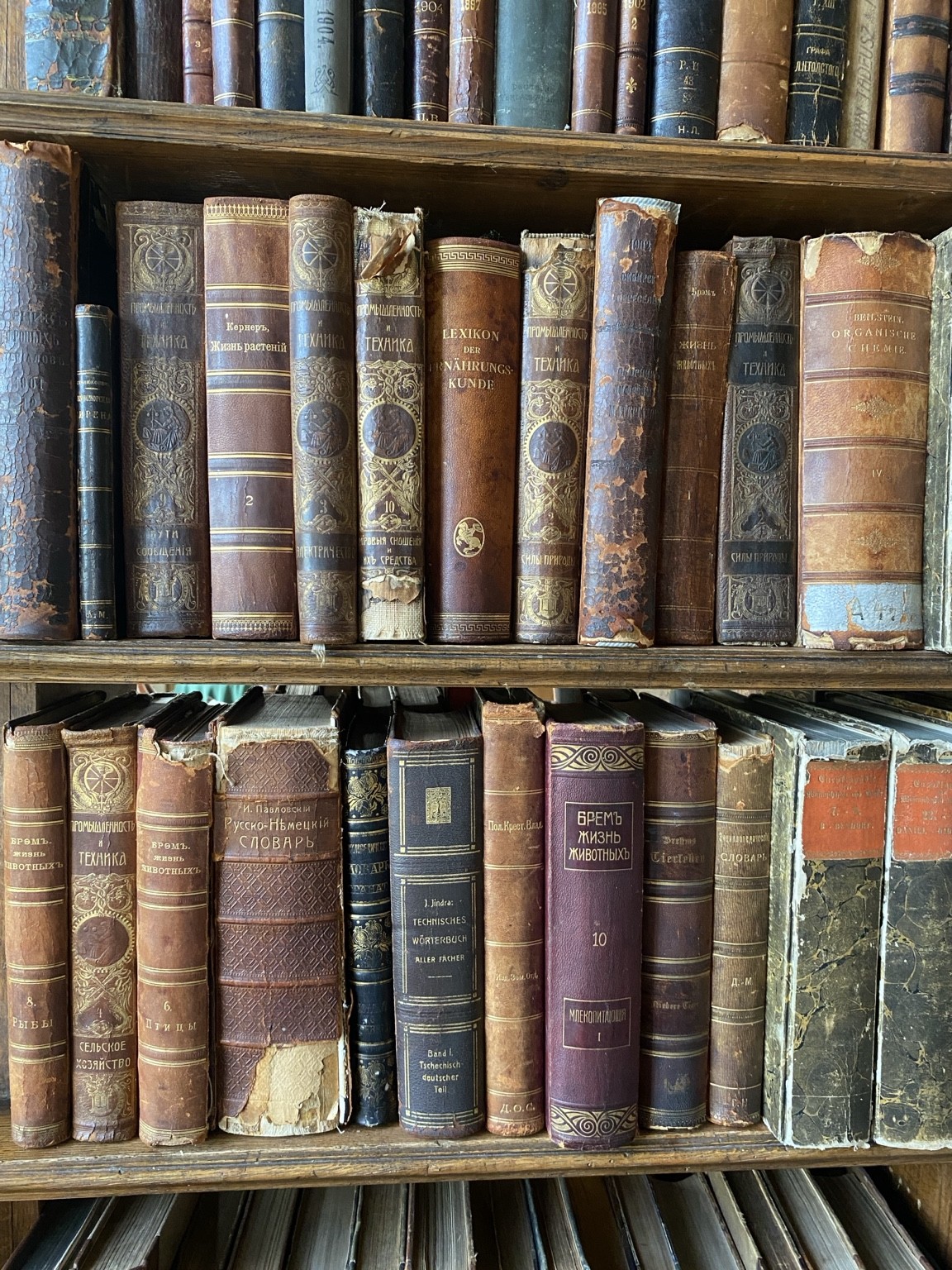 Regal mit alten Büchern